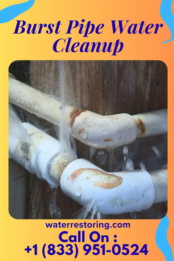 Burst Pipe Water Cleanup in Montclair State University, NJ