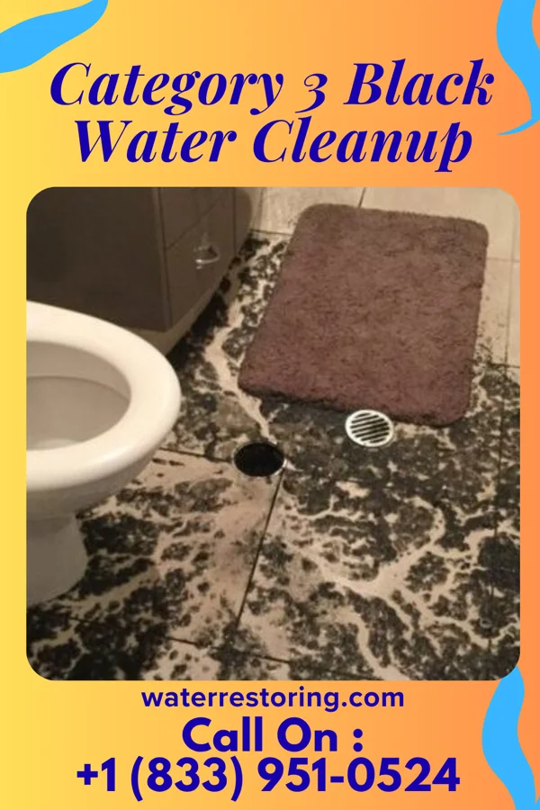 Category 3 Black Water Cleanup in Montclair State University, NJ