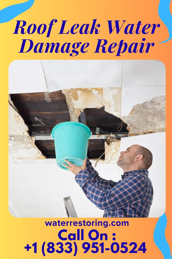 Roof Leak Water Damage Repair in Montclair State University, NJ