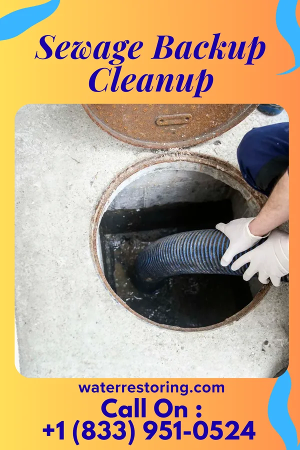 Sewage Backup Cleanup in Montclair State University, NJ