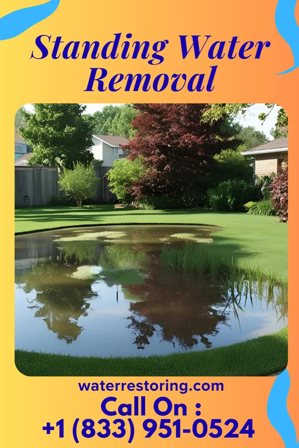 Standing Water Removal in Montclair State University, NJ